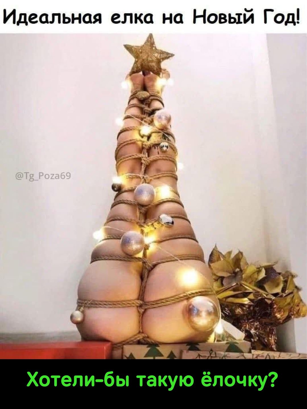 Идеальная елка на Новый Год! Хотели бы такую ёлочку?
