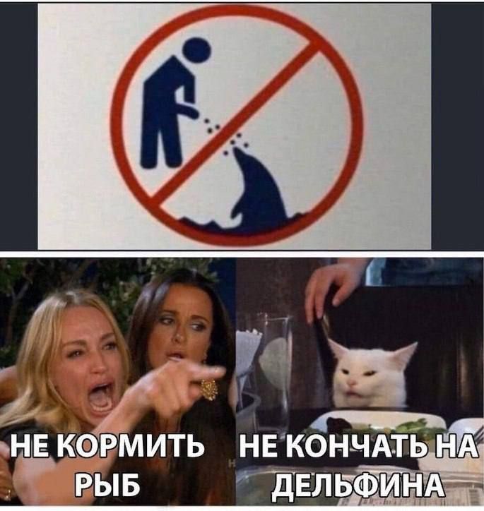 НЕ КОРМИТЬ РЫБ НЕ КОНЧАТЬ НА ДЕЛЬФИНА