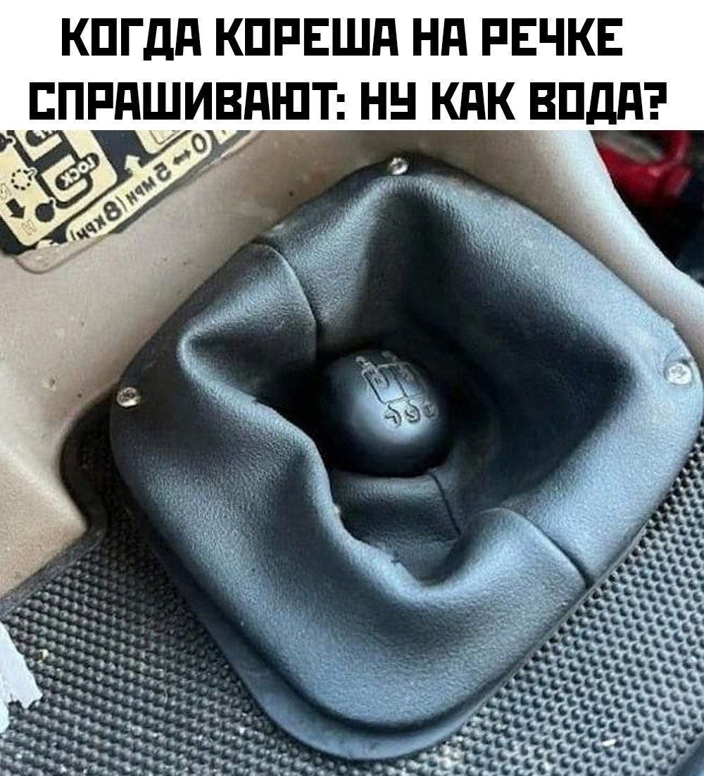 КОГДА КОРЕША НА РЕЧКЕ СПРАШИВАЮТ: НУ КАК ВОДА?