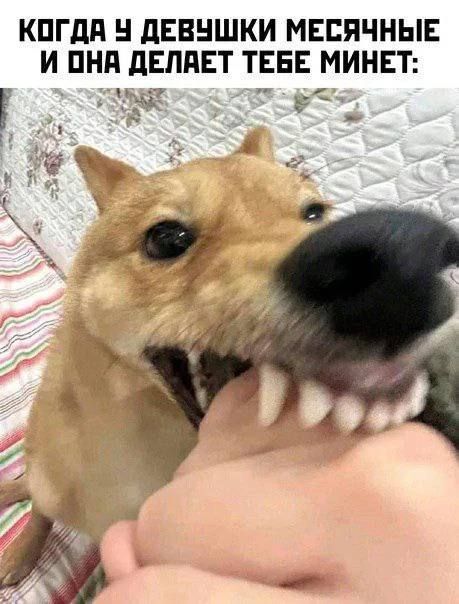 КОГДА У ДЕВУШКИ МЕСЯЧНЫЕ И ОНА ДЕЛАЕТ ТЕБЕ МИНЕТ: