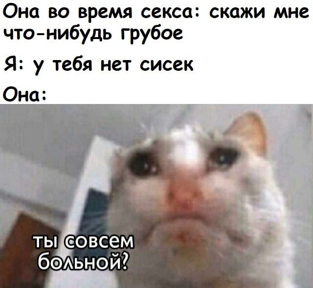 Она во время секса: скажи мне что-нибудь грубое Я: у тебя нет сисек Она: Ты совсем больной?