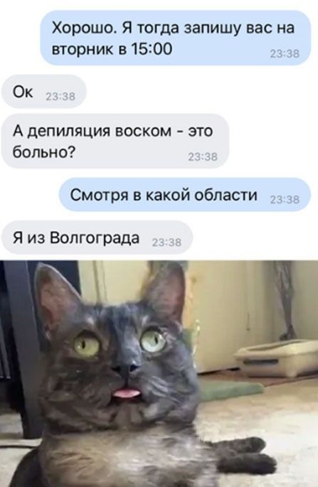 Хорошо. Я тогда запишу вас на вторник в 15:00
Ок
А депиляция воском - это больно?
Смотря в какой области
Я из Волгограда