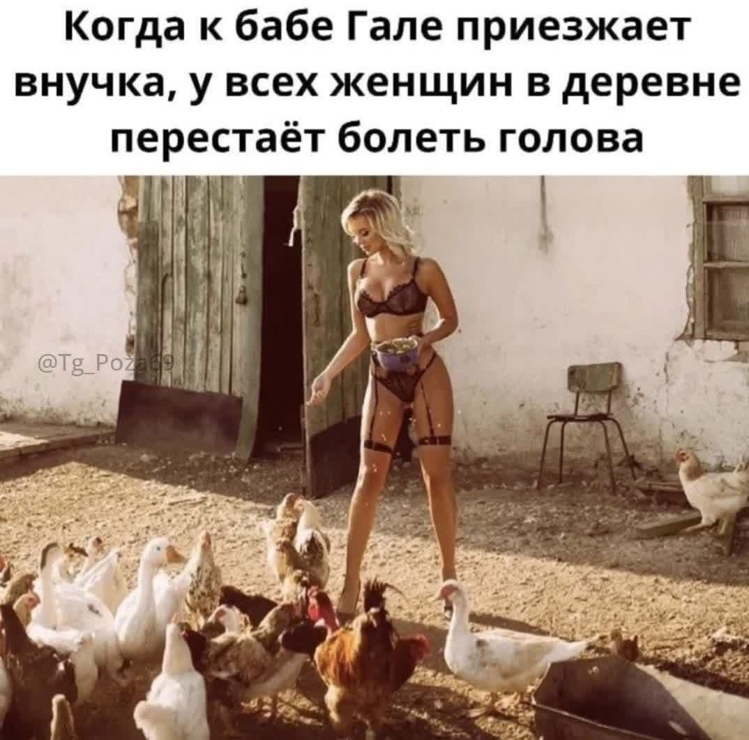 Когда к бабе Гале приезжает внучка, у всех женщин в деревне перестаёт болеть голова
