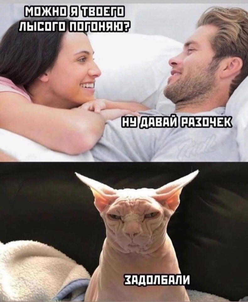 Можно я твоего лысого погоняю? Ну давай разочек. Задолбали