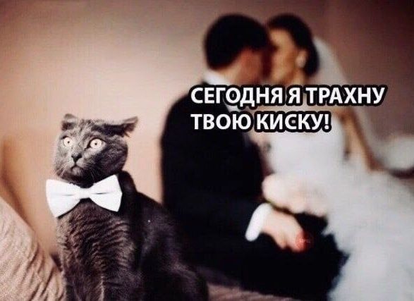 СЕГОДНЯ Я ТРАХНУ ТВОЮ КИСКУ!