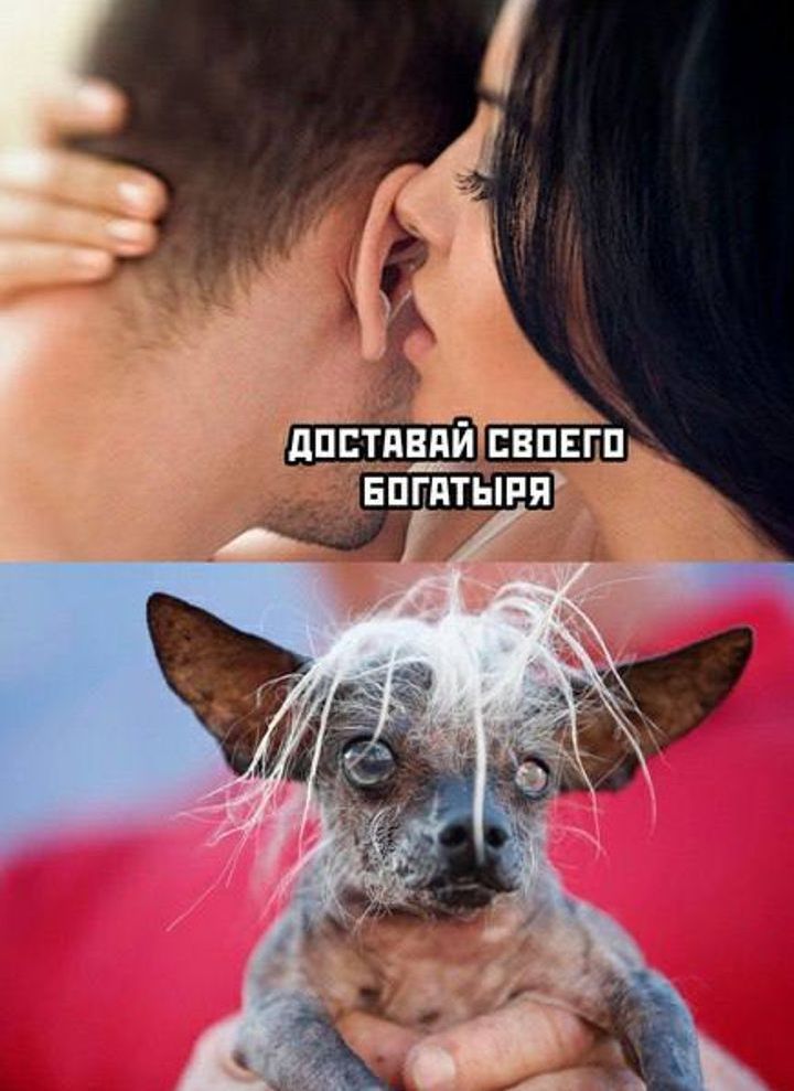 ДОСТАВАЙ СВОЕГО БОГАТЫРЯ