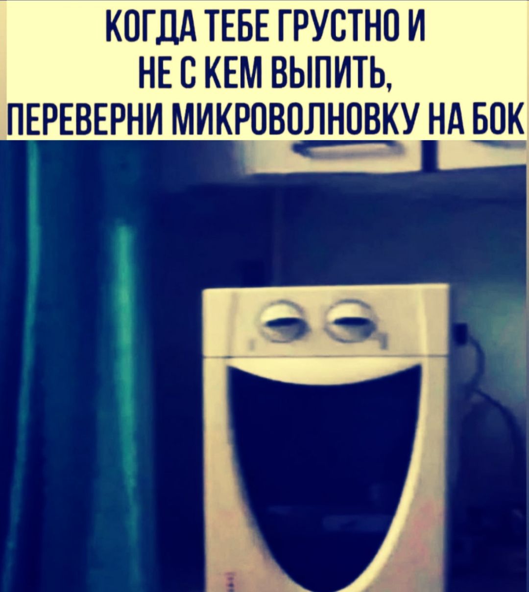 КОГДА ТЕБЕ ГРУСТНО И НЕ С КЕМ ВЫПИТЬ, ПЕРЕВЕРНИ МИКРОВОЛНОВКУ НА БОК