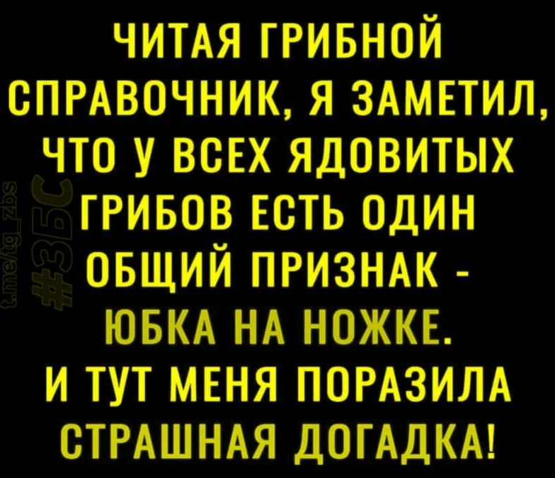 ЧИТАЯ ГРИБНОЙ СПРАВОЧНИК, Я ЗАМЕТИЛ, ЧТО У ВСЕХ ЯДОВИТЫХ ГИБОВ ЕСТЬ ОДИН ОБЩИЙ ПРИЗНАК - ЮБКА НА НОЖКЕ. И ТУТ МЕНЯ ПОРАЗИЛА СТРАШНАЯ ДОГАДКА!