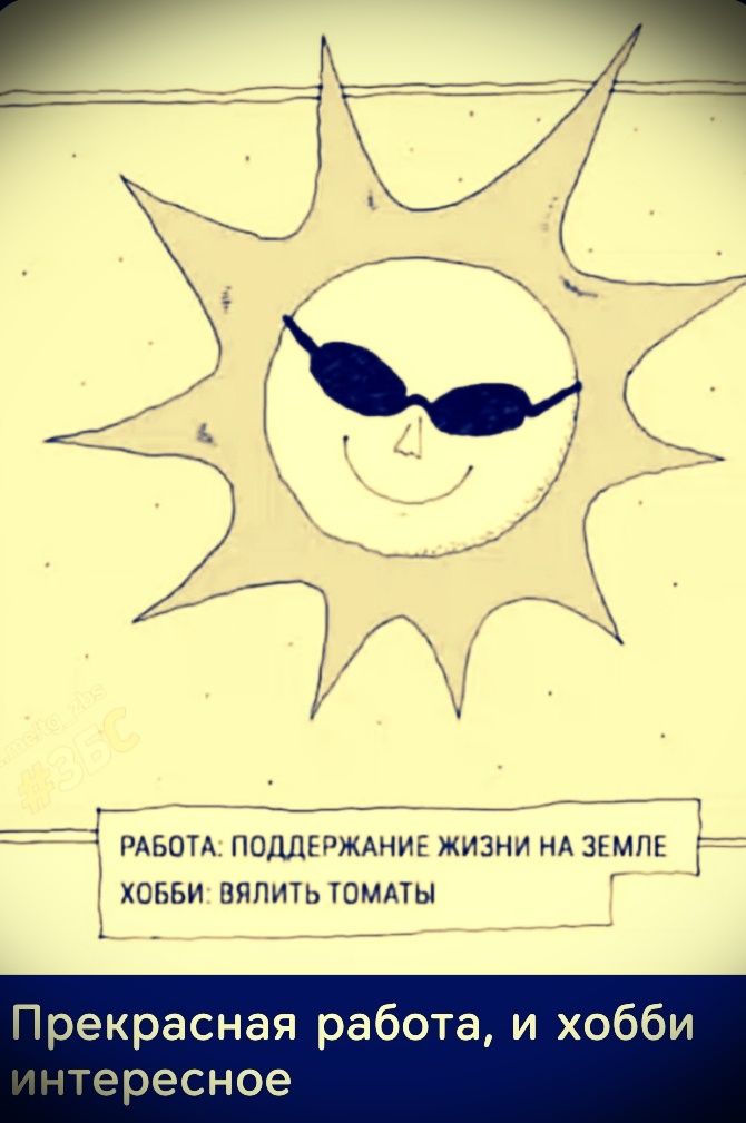 РАБОТА: ПОДДЕРЖАНИЕ ЖИЗНИ НА ЗЕМЛЕ ХОББИ: ВЯЛИТЬ ТОМАТЫ Прекрасная работа, и хобби интересное