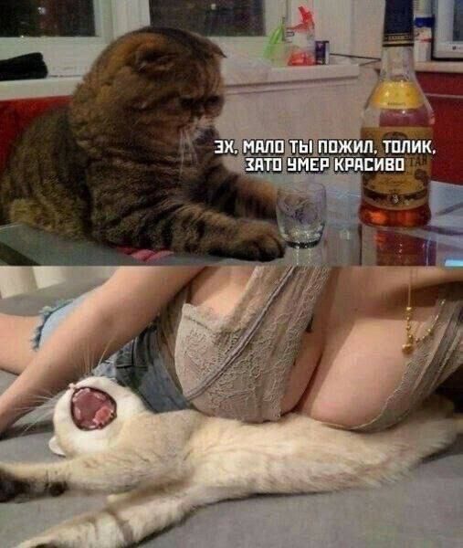 Эх, мало ты пожил, толик, зато умер красиво