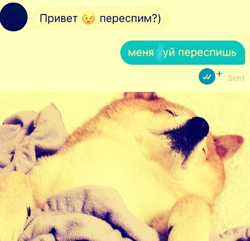 Привет 😚 переспим?) Меня уй переспишшь
