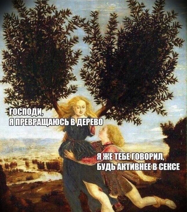 Господи, я превращаюсь в дерево. Я же тебе говорил, будь активнее в сексе