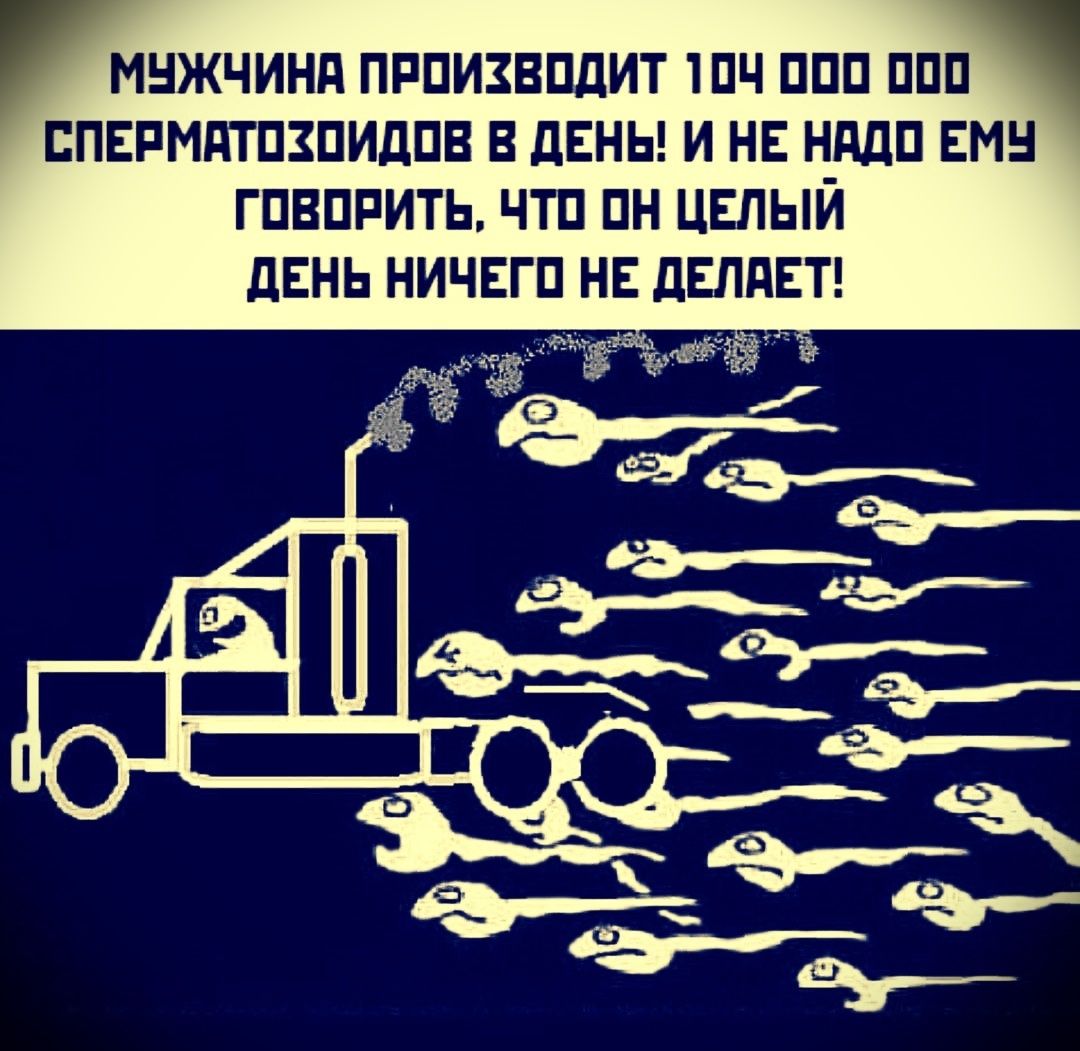МУЖЧИНА ПРОИЗВОДИТ 1000000 СПЕРМАТОЗИДОВ В ДЕНЬ! И НЕ НАДО ЕМУ ГОВОРИТЬ, ЧТО ОН ЦЕЛЫЙ ДЕНЬ НИЧЕГО НЕ ДЕЛАЕТ!