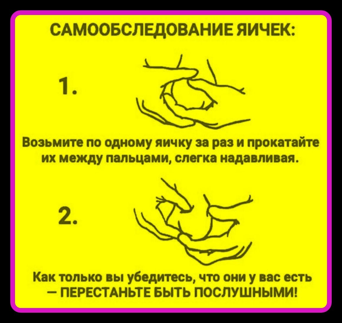 САМООБСЛЕДОВАНИЕ ЯИЧЕК: 1. Возьмите по одному яичку за раз и прокатайте их между пальцами, слегка надавливая. 2. Как только вы убедитесь, что они у вас есть — перестаньте быть послушными!