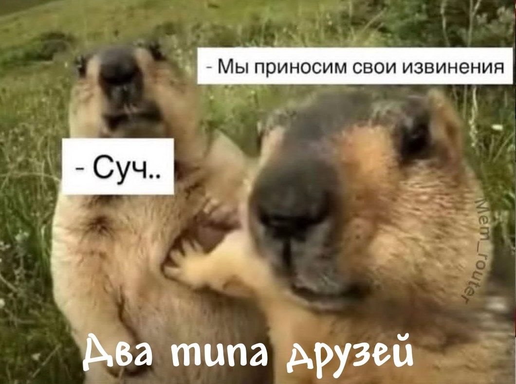 Мы приносим свои извинения
Суч..
Два типа друзей