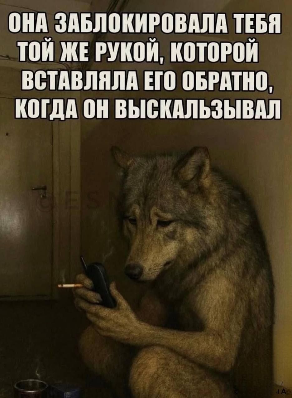 ОНА ЗАБЛОКИРОВАЛА ТЕБЯ ТОЙ ЖЕ РУКОЙ, КОТОРОЙ ВСТАВЛЯЛА ЕГО ОБРАТНО, КОГДА ОН ВЫСКАЛЬЗЫВАЛ