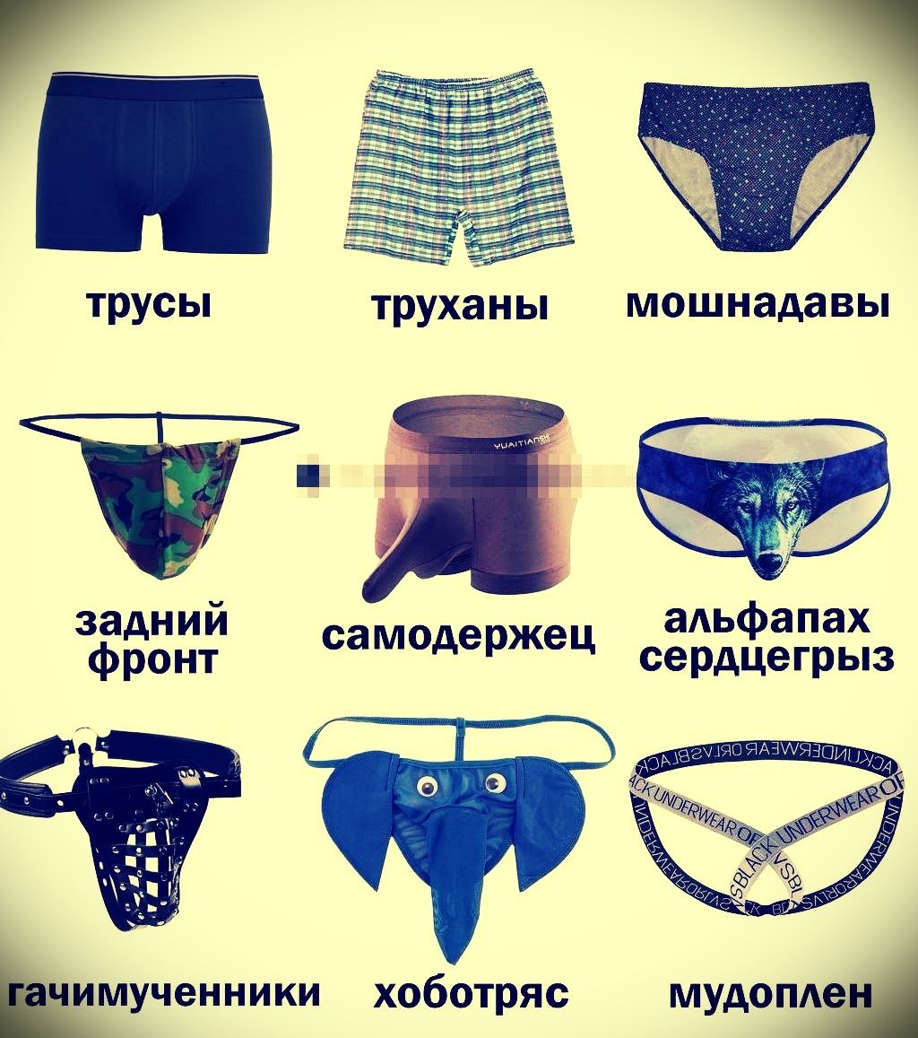 трусы, труханы, мошнадавы, задний фронт, самодержец, альфапах сердцегрыз, гачимученники, хоботряс, мудоплен