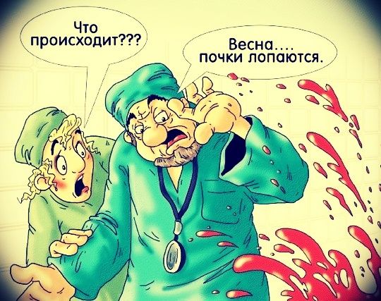 Что происходит??? Весна..... почки лопаются.