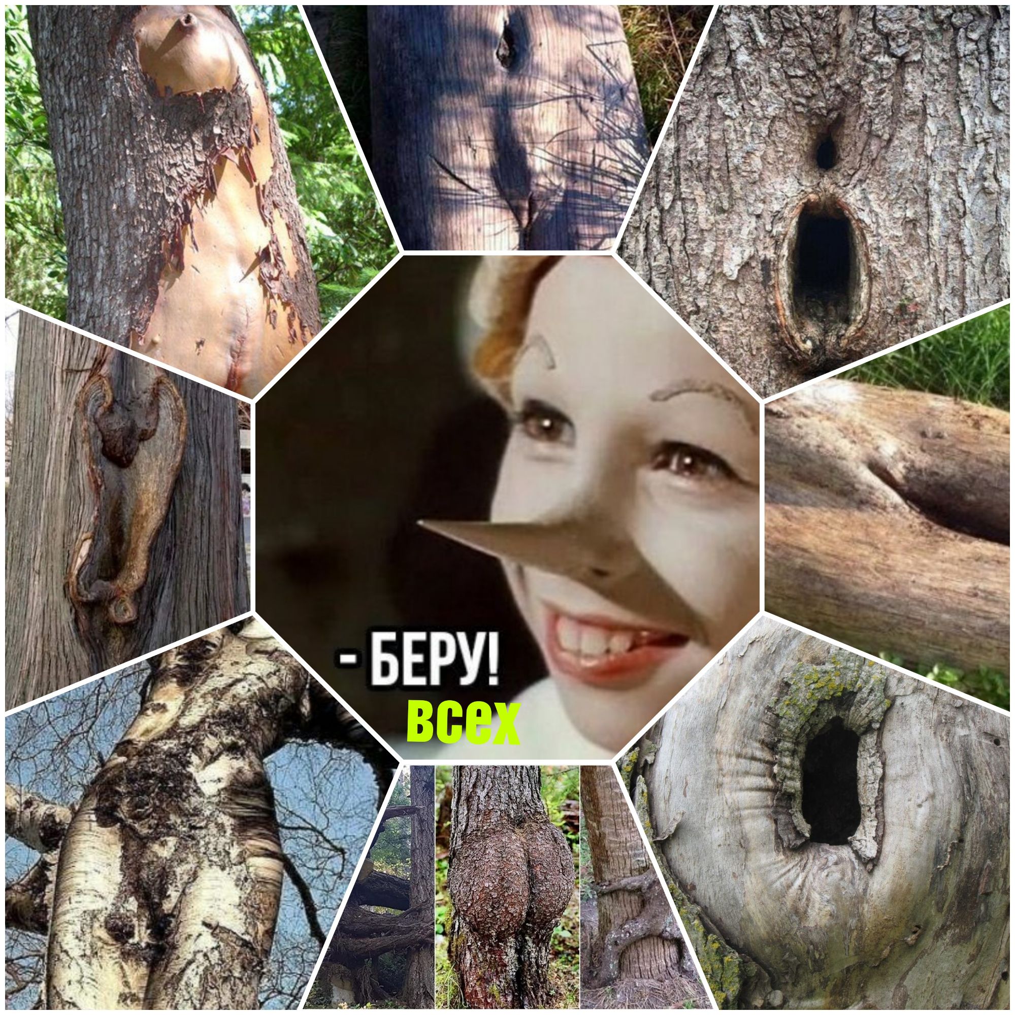 - БЕРУ! ВСЕХ