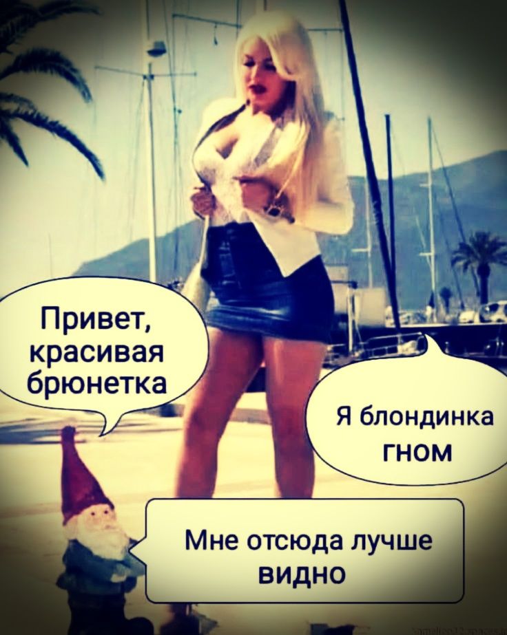 Привет, красивая бронетка
Я блондинка гном
Мне отсюда лучше видно