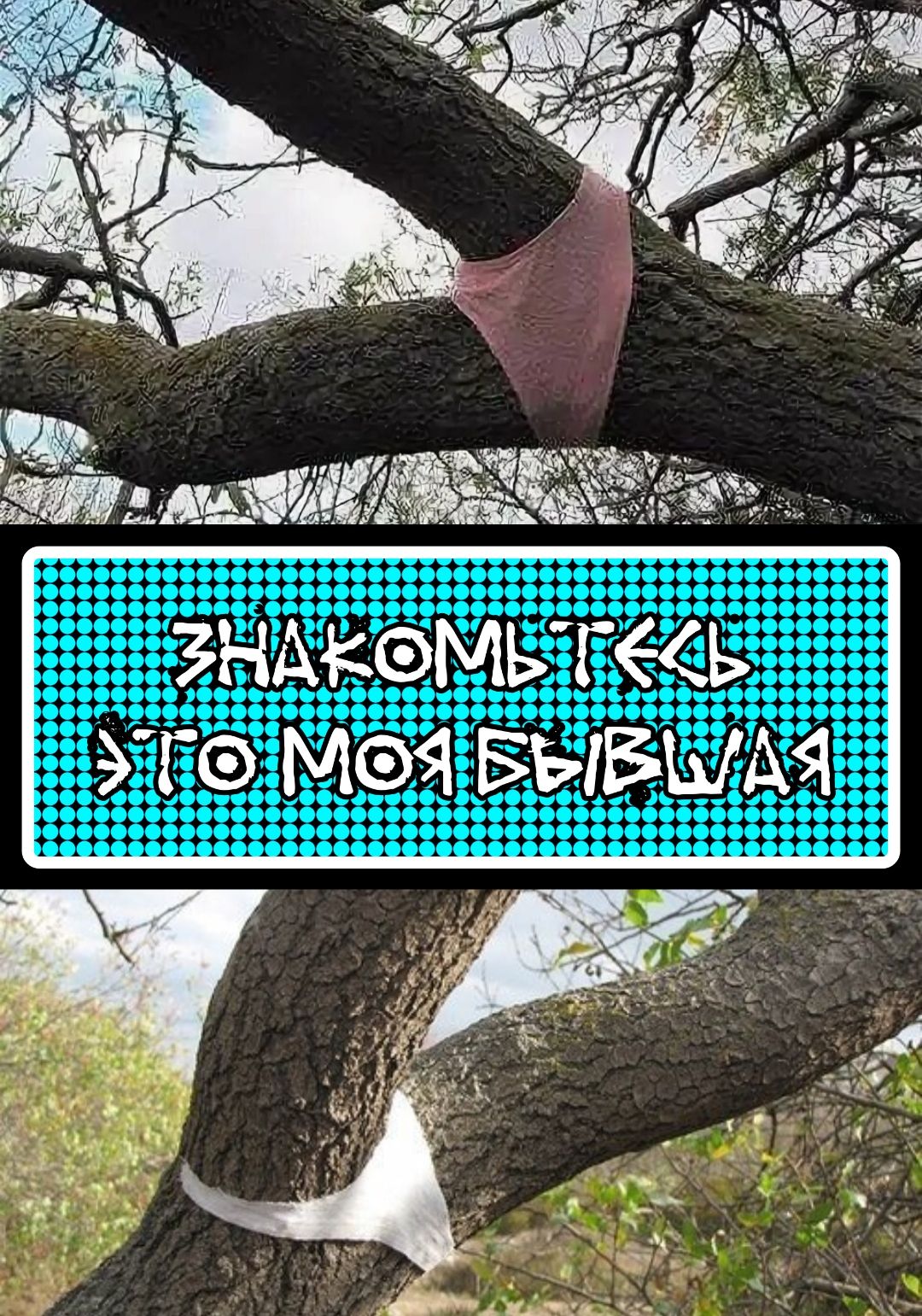 Знакомьтесь, это моя бывшая