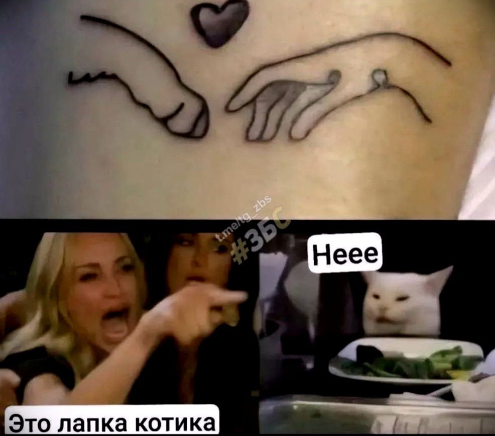 Это лапка котика