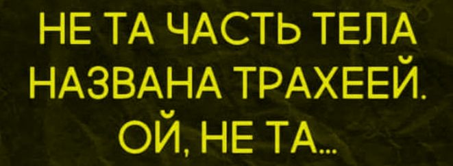 НЕ ТА ЧАСТЬ ТЕЛА НАЗВАНА ТРАХЕЕЙ. ОЙ, НЕ ТА...