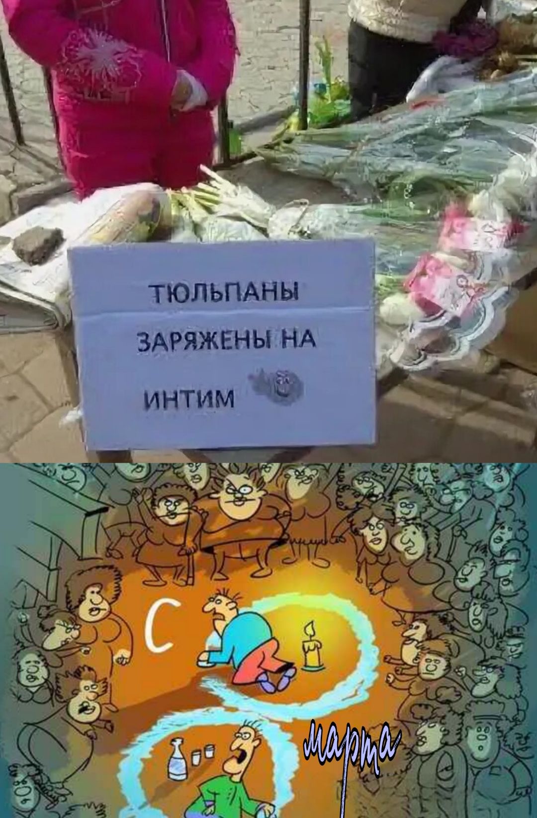 ТЮЛЬПАНЫ ЗАРЯЖЕНЫ НА ИНТИМ