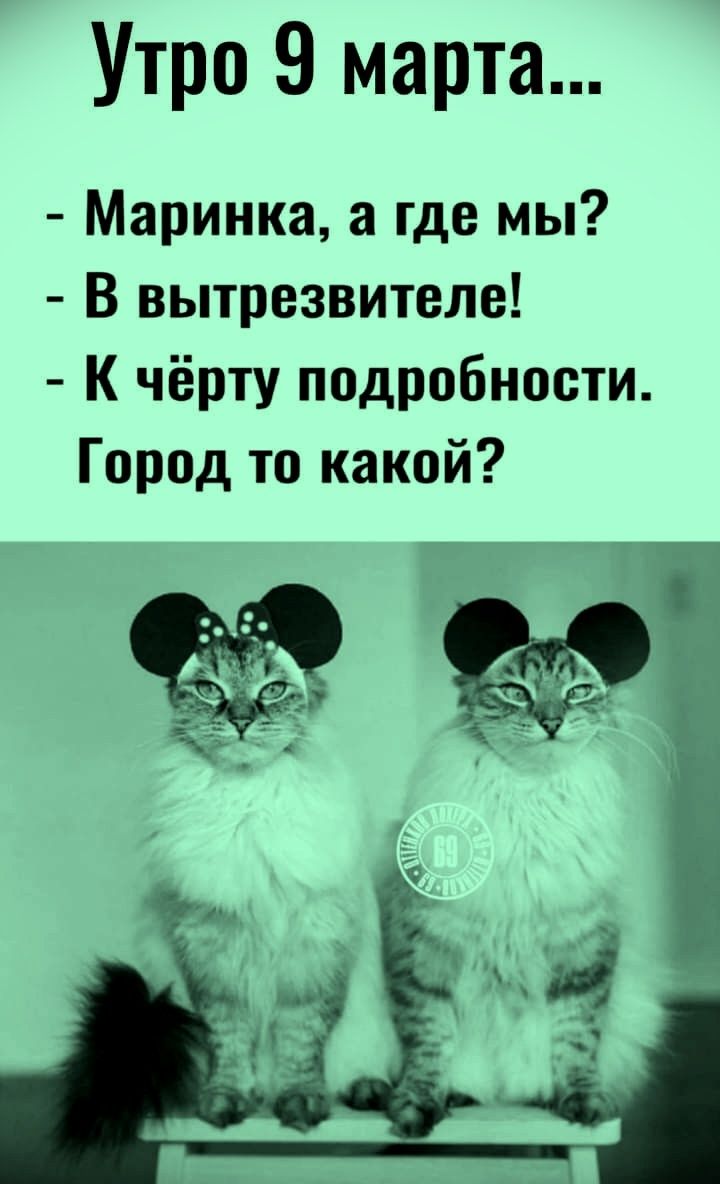 Утро 9 марта... - Маринка, а где мы? - В вытрезвителе! - К чёрту подробности. Город то какой?