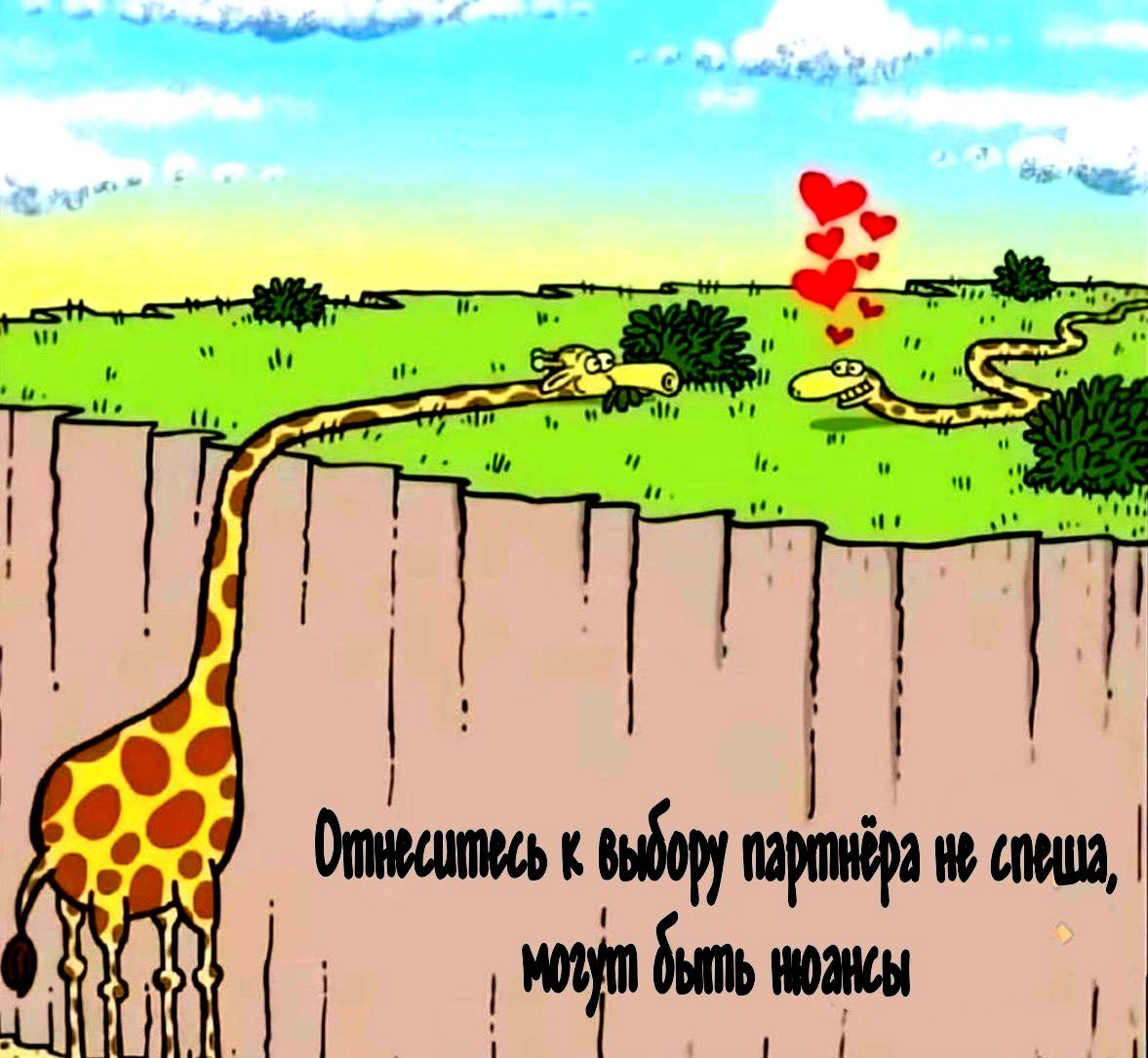 Относитесь к выбору партнёра не спеша, может быть …