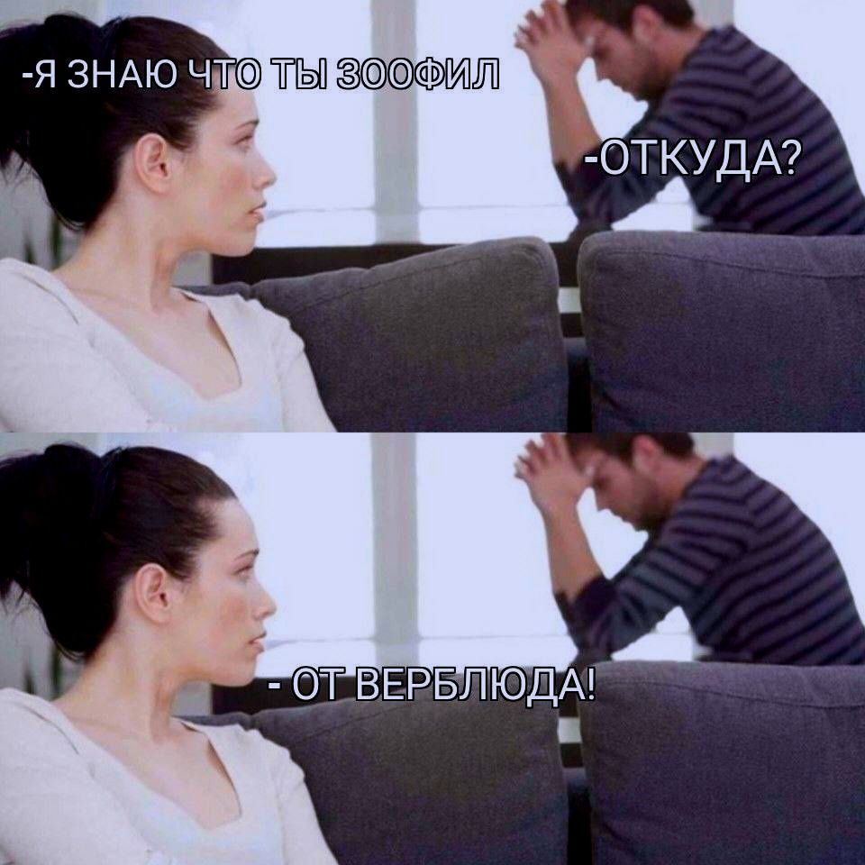 -Я ЗНАЮ ЧТО ТЫ ЗООФИЛ
-ОТКУДА?
-ОТ ВЕРБЛЮДА!