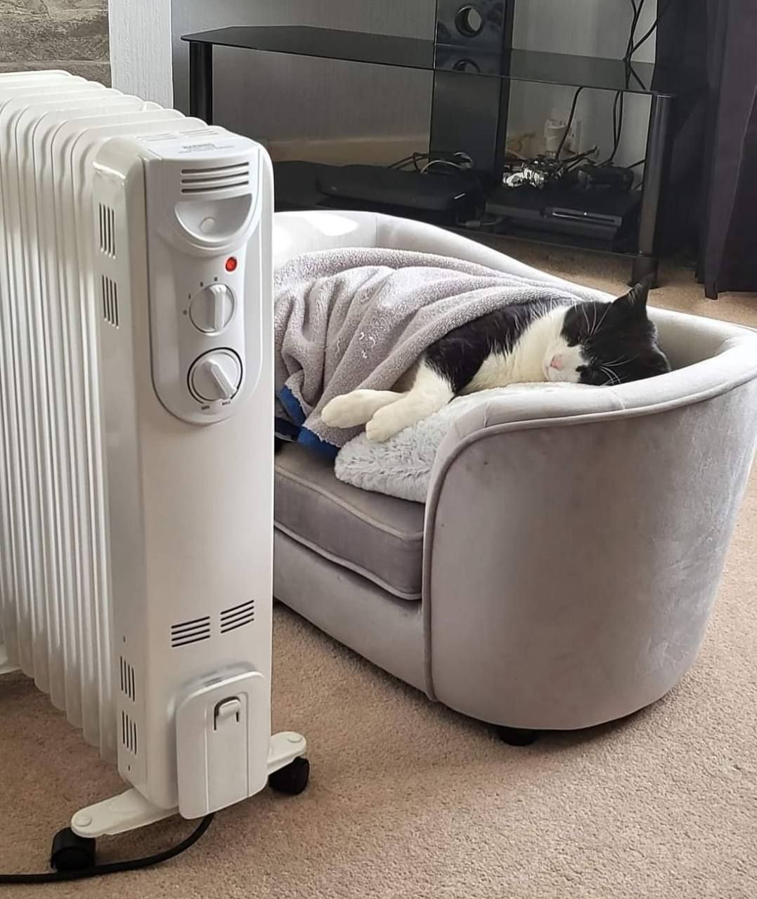 Кот спит на кресле рядом с обогревателем