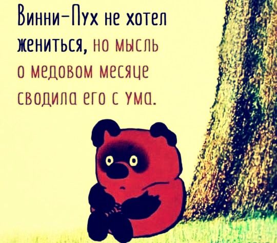 Винни-Пух не хотел жениться, но мысль о медовом месяце сводила его с ума.