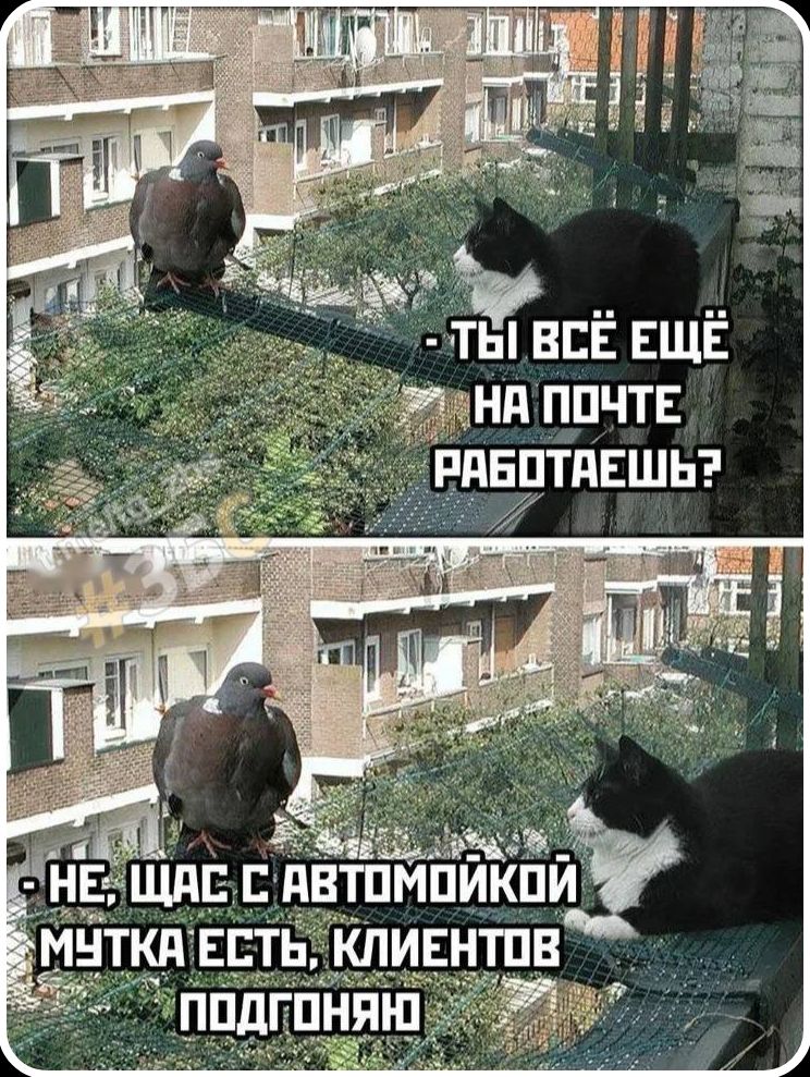- Ты всё ещё на почте работаешь?
- Не, сейчас с автомойкой мутка есть, клиентов подгоняю