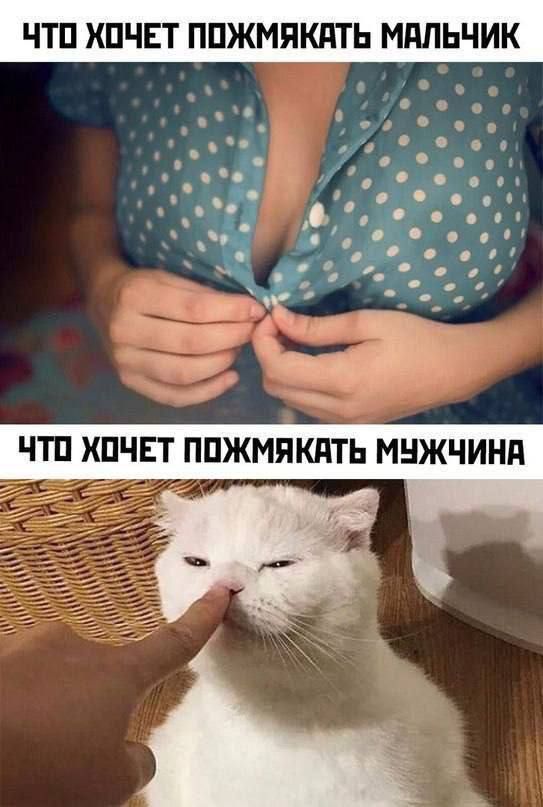 ЧТО ХОЧЕТ ПОЖМЯКАТЬ МАЛЬЧИК ЧТО ХОЧЕТ ПОЖМЯКАТЬ МУЖЧИНА