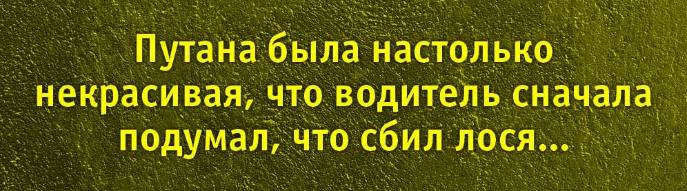 Путана была настолько некрасивая, что водитель сначала подумал, что сбил лося...