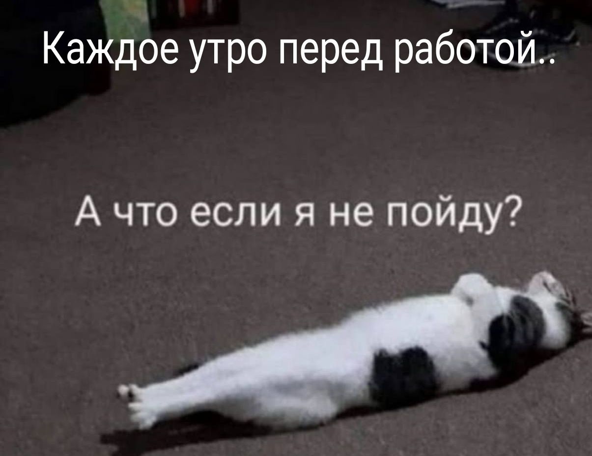 Каждое утро перед работой.. А что если я не пойду?