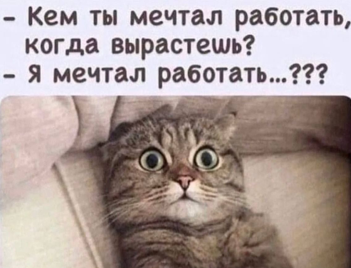 Кем ты мечтал работать, когда вырастешь? Я мечтал работать...???