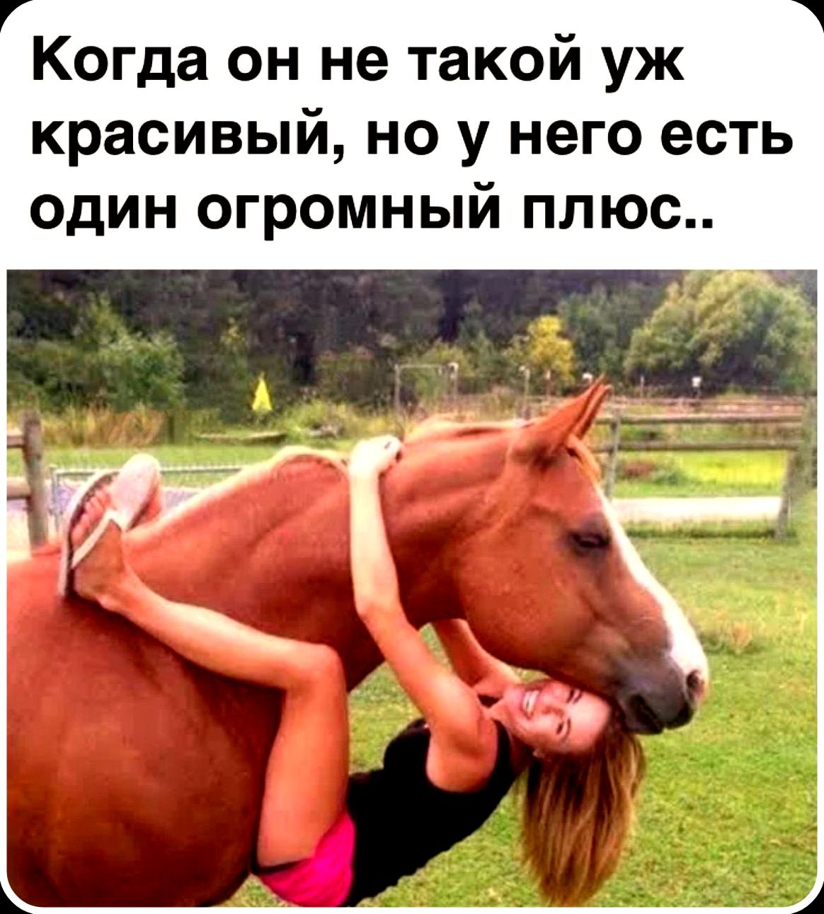 Когда он не такой уж красивый, но у него есть один огромный плюс..