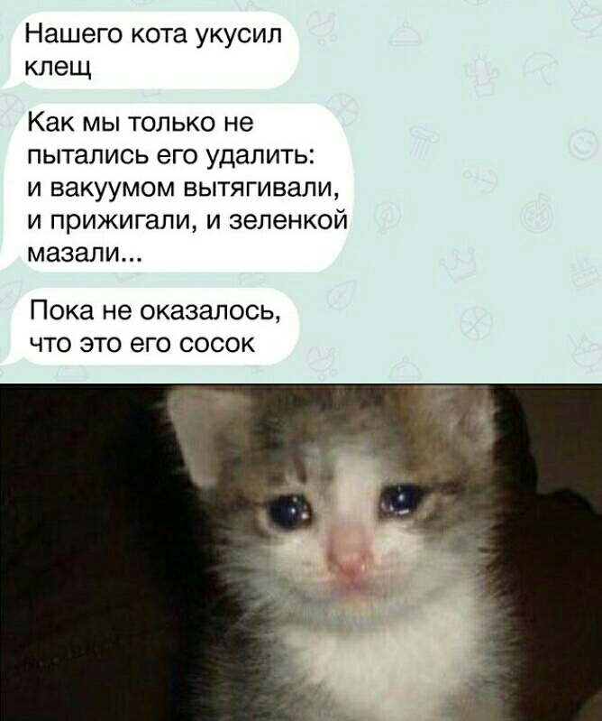 Нашего кота укусил клещ Как мы только не пытались его удалить и вакуумом вытягивали и прижигали и зеленкой мазали Пока не оказалось что это его сосок