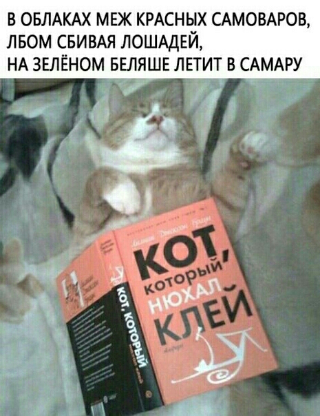 в ОБЛАКАХ мвж КРАСНЫХ САМОВАРОВ лвом СБИВАЯ ЛОШАДЕЙ НА зелёном вгляшв лвтит в САМАРУ