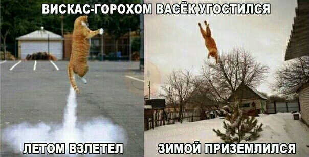 ВИСКАс ГОРОХОМ 38 УГОСТИПЁЯ