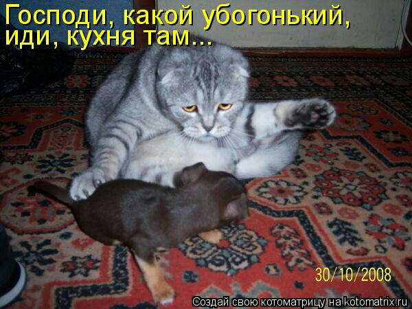 ЗЁЮЁООВ южотдматридтйайодшашй