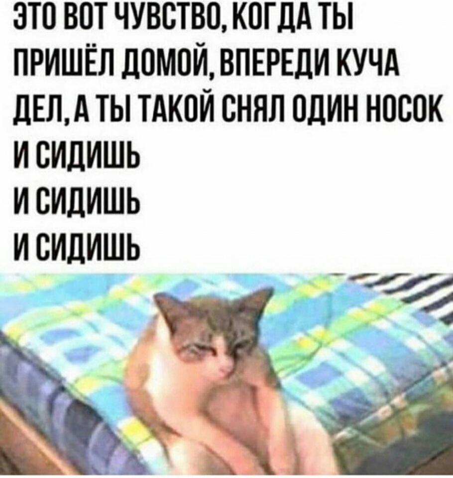 ЭТО ВОТ ЧУВСТВО КОГДА ТЫ ПРИШЁЛ ДОМОЙ ВПЕРЕЛИ КУЧА дЕЛА ТЫ ТАКОЙ ОНЯЛ ОДИН НОООК И ОИЛИШЬ И ОИДИШЬ И ОИЛИШЬ