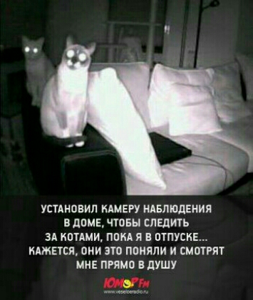 усыновил мМЕРу нАБлшдЕния вплив чтовы спвдить ЗА кптдми ппкд я ПТПУСНЕ КАЖЕТСЯ ВКИ ат ППИЯЛИ И СМОТРЯТ мн пиши в душу