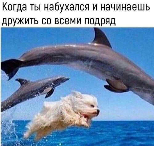Когда ТЫ НдбУХЭЛСЯ И НЭЧИНЭЕШЬ ЦРУЖИТЬ СО ВСЕМИ ПОДРЯД