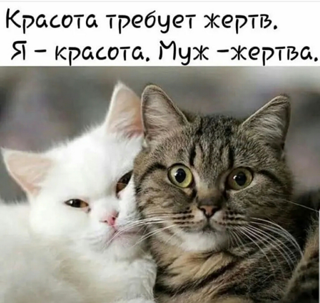 Красота требует жертв Я кэасота Муж жертгэа