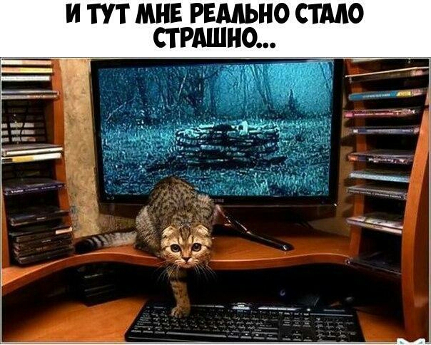 И ТУТ МНЕ РЕМЬНО СТАЛО