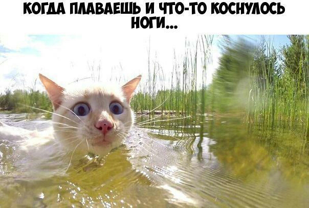 КОГДА ШМЕШЬ И ЧТО ТО КОСНУАОСЬ НОГИ