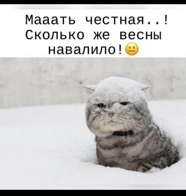 Мааать честная Сколько же весны навалило0